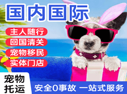 铜仁凤凰航空运输国际宠物托运 【国